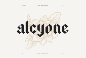 Alcyone-Fonts