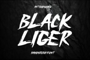 Black-Liger-Fonts