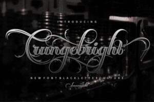 Crungebright-Fonts