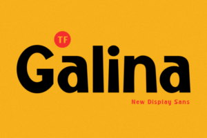 Galina-Fonts