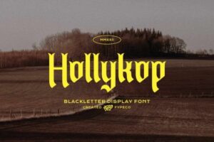 Hollykop-Fonts