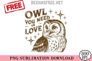 Owl-You-Need-Is-Love-png-free