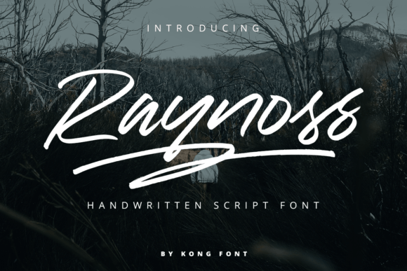 Raynoss-Fonts