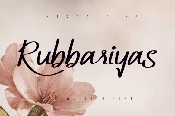 Rubbariyas-2-Fonts